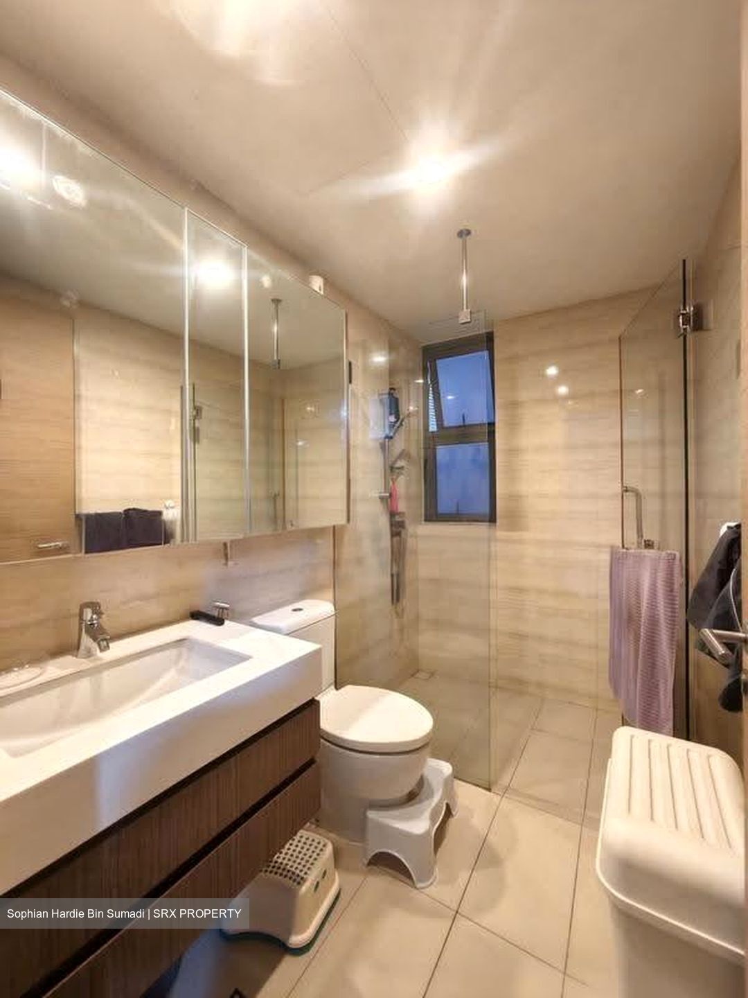 The Palette (D18), Condominium #634752441